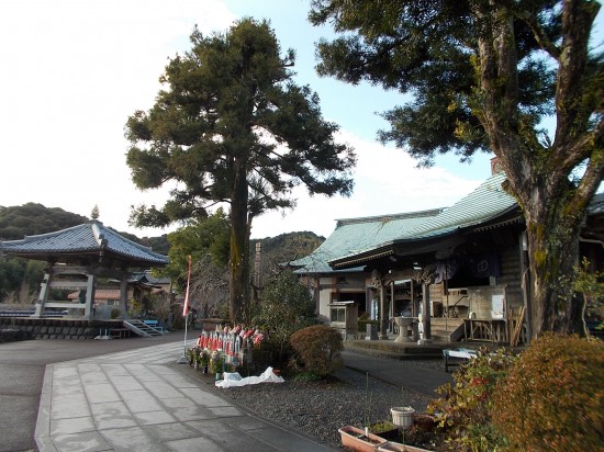 8:30種間寺に到着する。小さいながらも趣のある境内である。