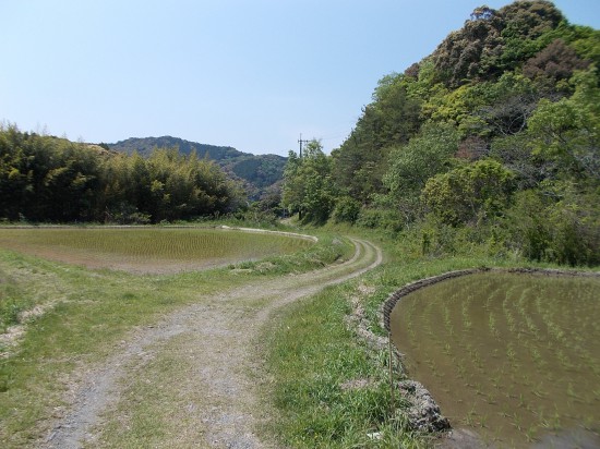 13:40頃、長閑な山間の遍路道を歩く。