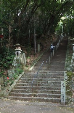 初めてこの階段を上りました････自転車の後に、この階段は地味にキツイ(^ ^;