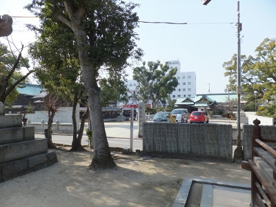 大師堂から左を見ると、そこに大山祇神社です。