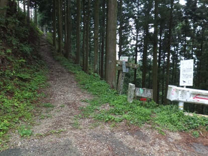 柳水庵前の道を挟んで、焼山寺への遍路道