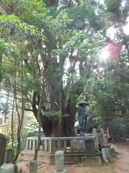 やっと辿り着きました、浄蓮庵・・・そこには一本杉(庵)というには、あまりに立派な杉が佇んでいました