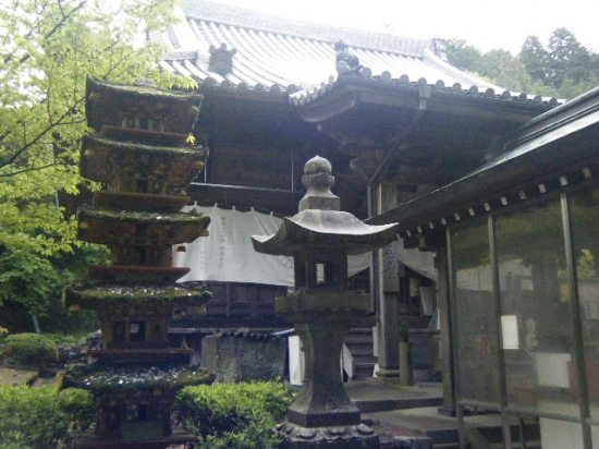 雨上がりの白峰寺本堂。