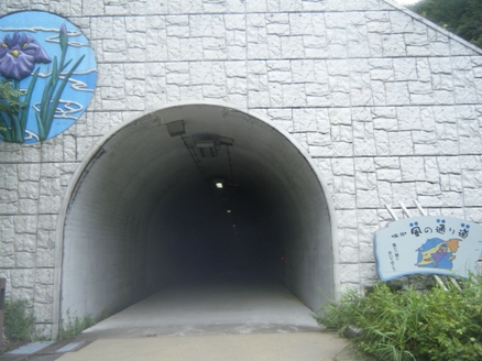 嵐坂 風の通り道 トンネル。 370mのまっすぐですが、靄で出口の光は見えず。 まさに中は異次元でした。