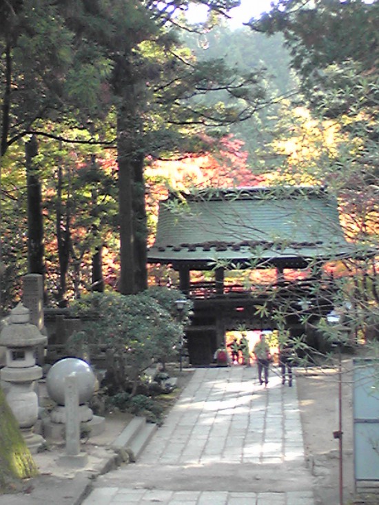 結願寺の見事な紅葉!!　カメラマンとアベックがいっぱいでした。