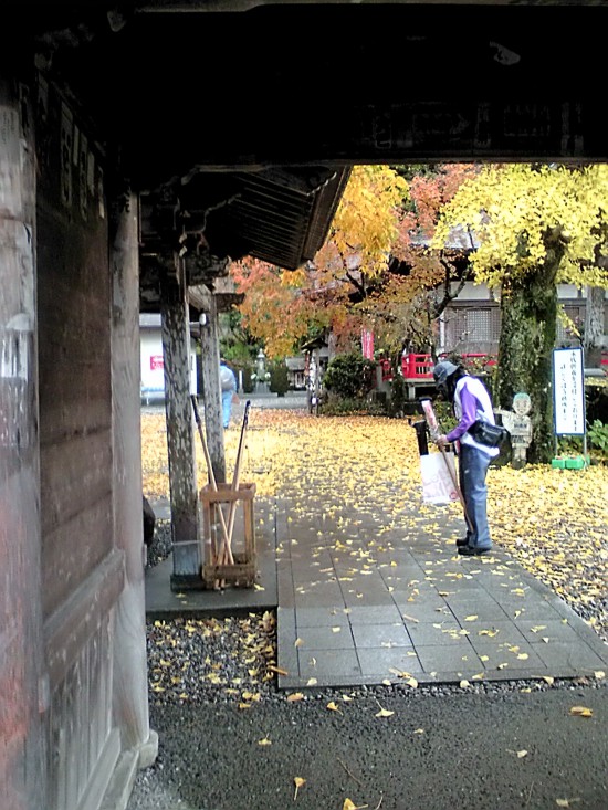 岩本寺の色とりどりの落ち葉の境内。