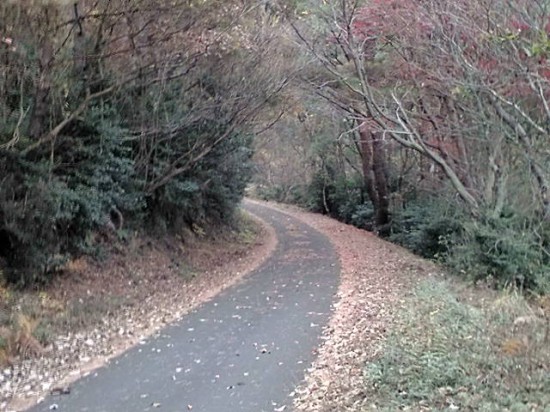 曼陀峠に続く尾根道は、こんな感じです。ﾁｬﾚﾝｼﾞしてみてください。