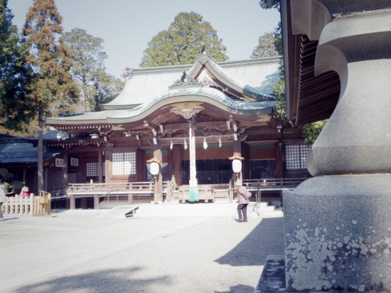 阿波一宮　大麻比古神社。正月はいつもすごい人出です。