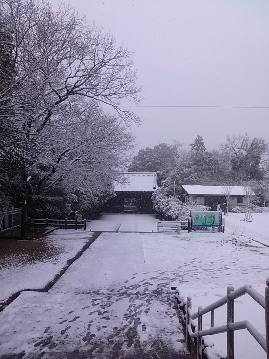 雪で真っ白になった屋島寺。われわれの足跡だけが・・・。