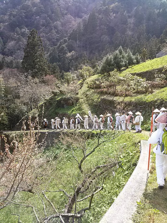 今回は参加者が多く長い列になって、鍋岩めざして下っているところ。