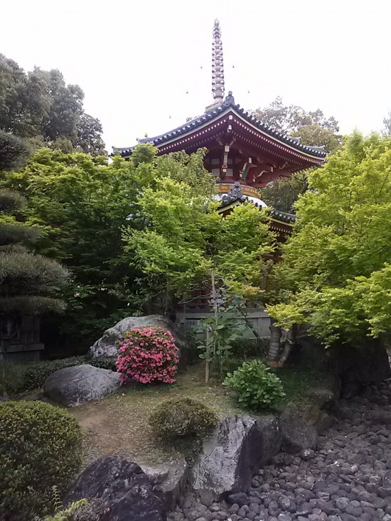 最近宿泊したばかりなので、今回は十楽寺で泊まります。急がなくては5時に間に合わない・・・!!