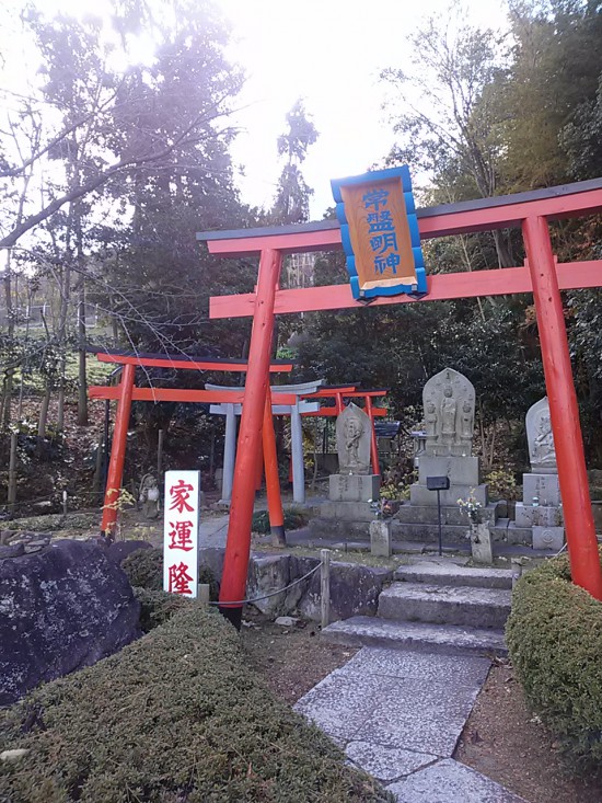 郷照寺の寺の守り神、たぬきの常盤明神。家運隆昌をお願いしました。