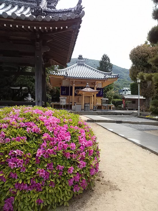 曼荼羅寺の大師堂が四月末に完成しました。周りに木の香りが漂っています。