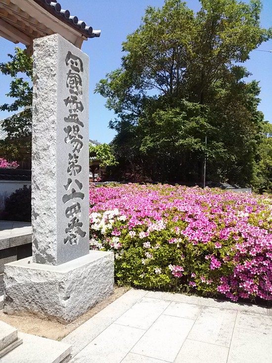 屋島寺の山門脇のつつじです。みごとに咲いて綺麗でしたよ。