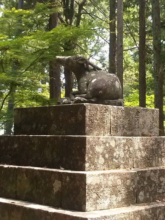 苔むした竹林寺の庭が大好きです。文殊菩薩は私の守り本尊でもあります。