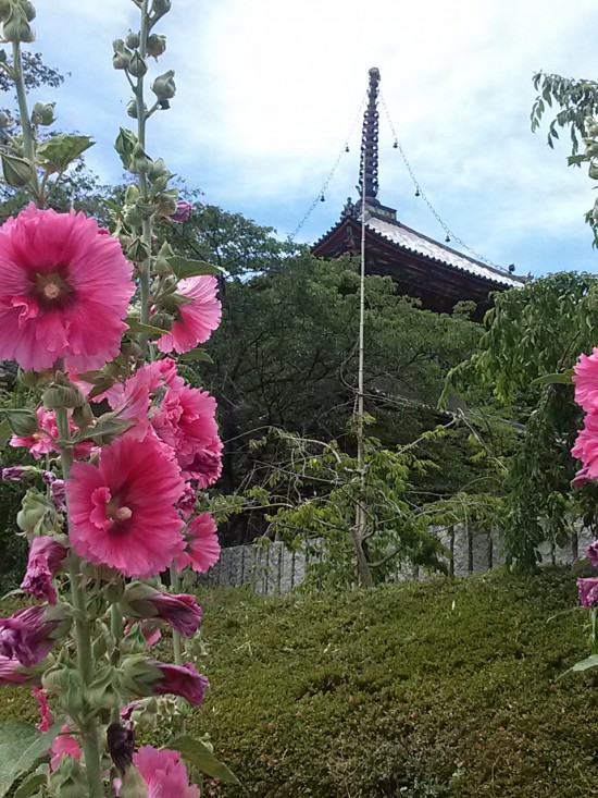 熊谷寺でご詠歌を聞きながらこちらで打ち止めとしました。とにかく暑い一日で34度まで上がっていました。