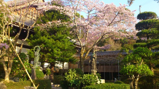 第３９番「延光寺」