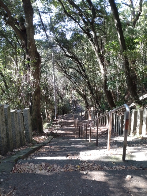 第１０番「切幡寺」階段を下る