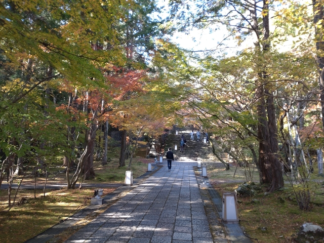 第３１番「竹林寺」山門をくぐった後の景色