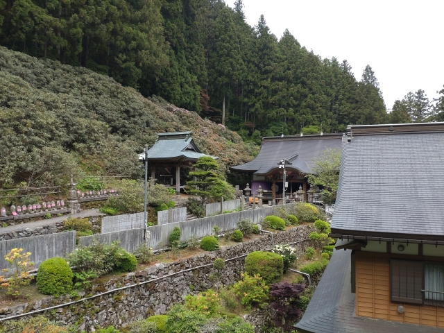 第６０番「横峰寺」石楠花の花は終わっていました。