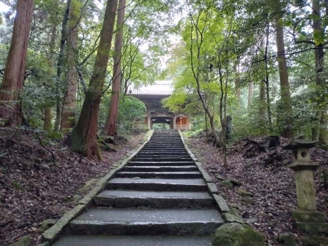 別格第１０番「興隆寺」本堂へ向かう