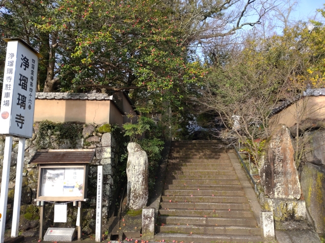 第４６番「浄瑠璃寺」