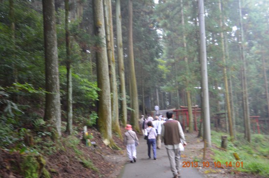 ガスのかかった道をお寺へ