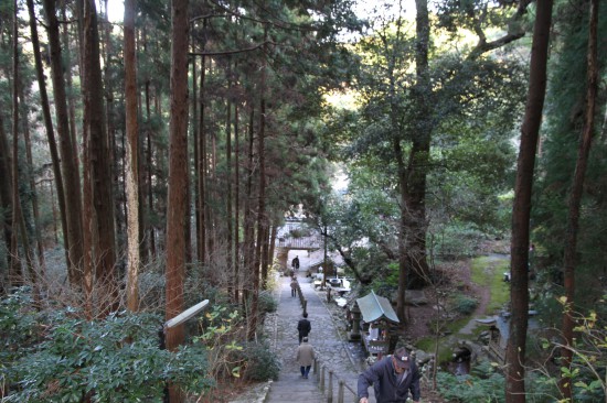 青龍寺　参道上から見下ろしてところ