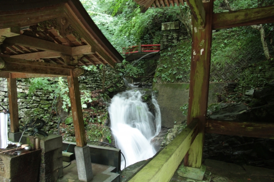 手水場の裏の川はこの水量