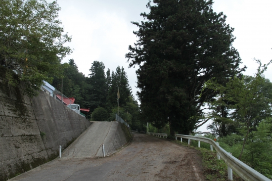 大瀧寺の前の道路です。結構落ち葉が落ちています。