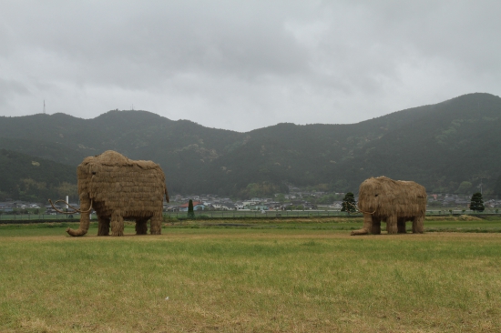 西予の藁で作ったマンモス　遠目に撮っているので大きさ解らないと思いますが結構大きいです。相棒曰く年々大きく成長中だとか！