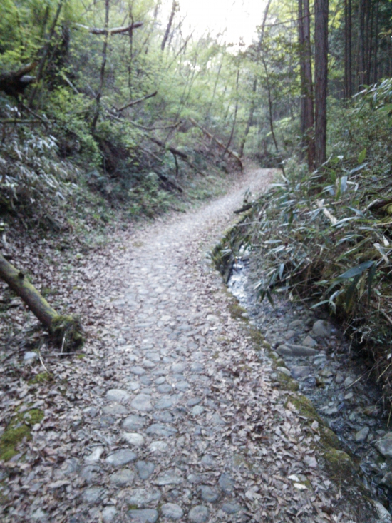 感じのいい石畳の道が続きます。