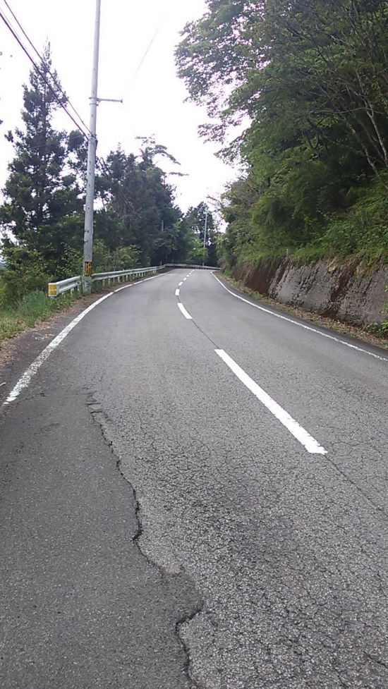 雲辺寺迄の遍路道。ノロノロ車道が続きます