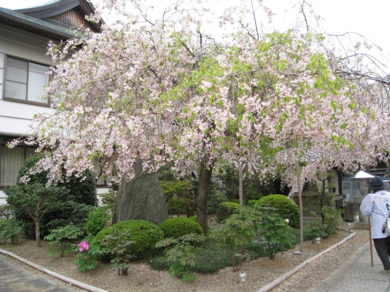 立江寺境内