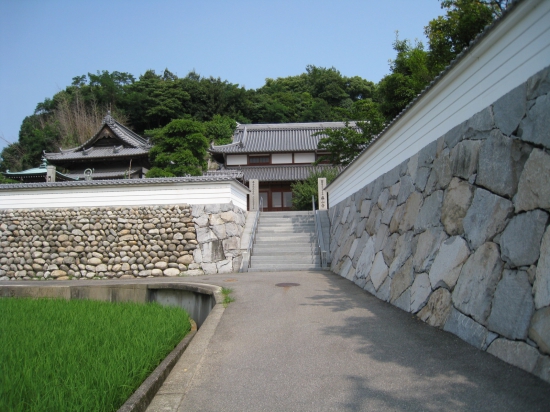 田んぼの景色が地元に似ている