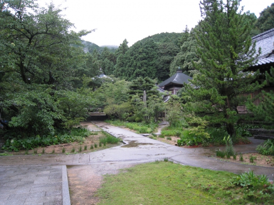 境内には樹齢300~400年にもなる桜があります