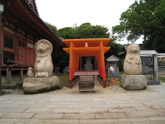 三太郎狸