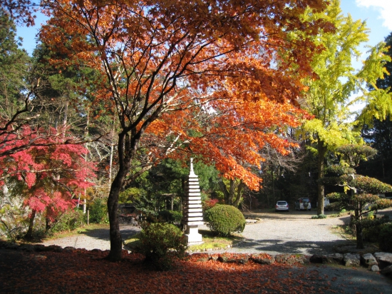 今年の春に同じ場所から桜の写真を撮りました。