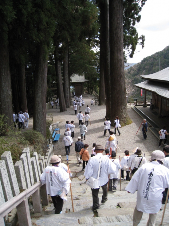 お勤め終えて帰ります、杉の木大きいのが分かります・・・人ちっちゃい。