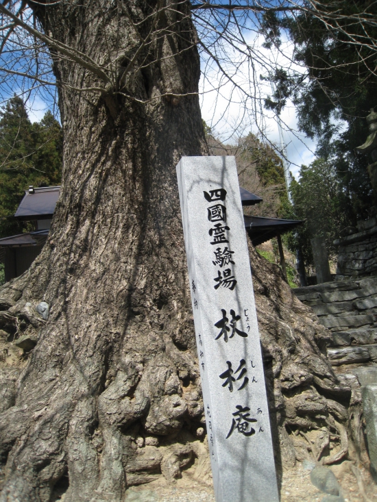 焼山寺の帰りにバスの中から激写した「杖杉庵」①