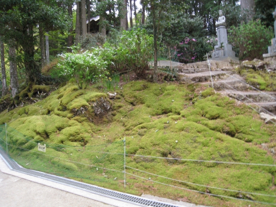 鶴林寺　苔筵