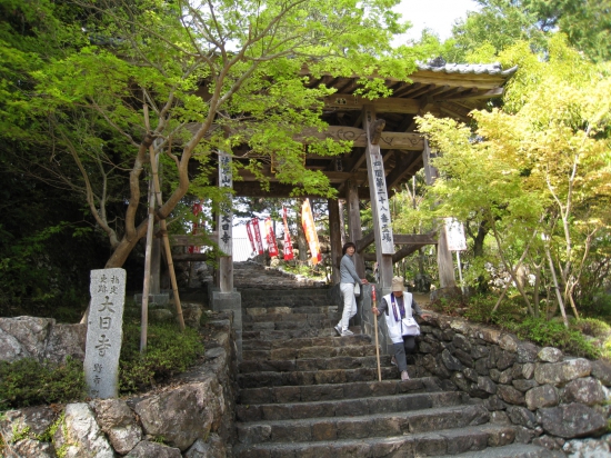 大日寺　仁王門新緑が綺麗