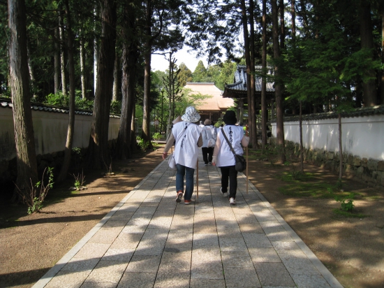 国分寺仁王門を進むと石畳が続きます。目の前には本堂が見えてきました。