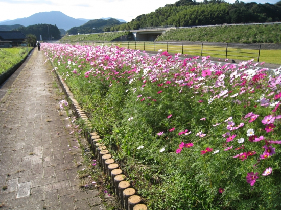 仏木寺駐車場より