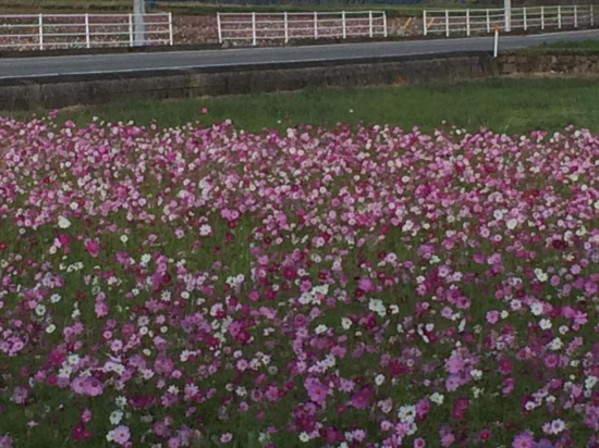 朝早くに行ったので建物の影になってる～～～(-_-;)