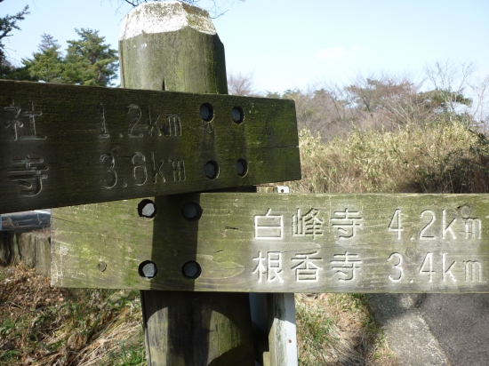 国分寺から約90分で県道180号の一本松にでました。