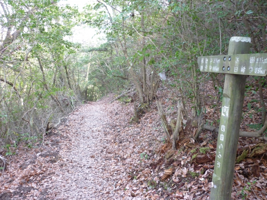 国指定史跡の讃岐遍路道「根香寺道」です。白峰寺～根香寺の総延長4840ｍのうち2234ｍが、2013年10月17日に指定されたそうです。