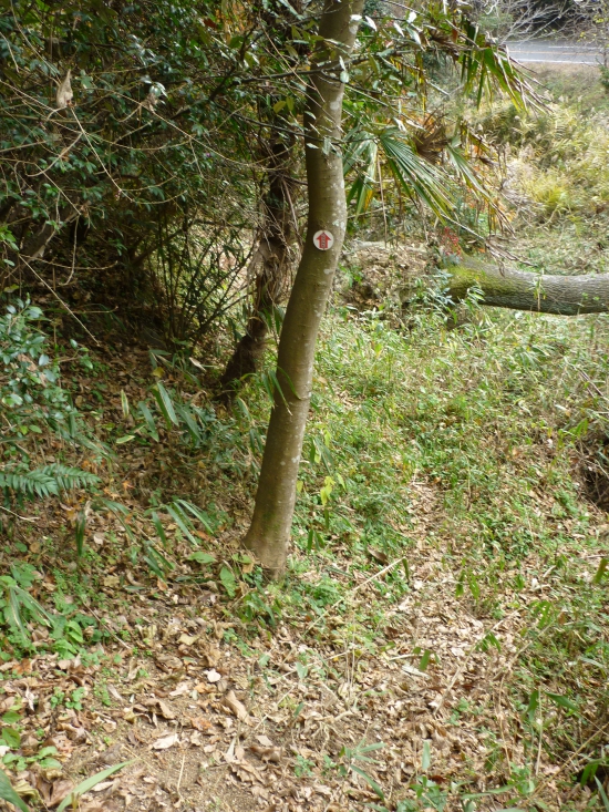 七十丁の地蔵を過ぎて、県道に合流後発見した旧へんろ道（標識あり、撮影失念）を行く。ここは画面ではわかりにくいですが急坂（下り）です。