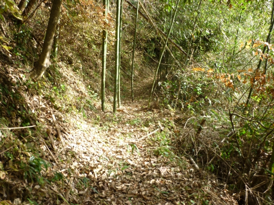 たぶん道だと思い、右手に県道をみながら歩きました。