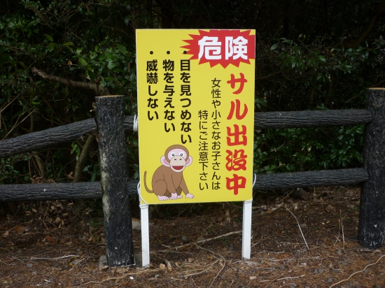 大麻比古神社の駐車場にありました。２番札所極楽寺でも見たような気がします。